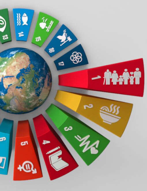 Sviluppo sostenibile: l’Agenda 2030 in 17 punti