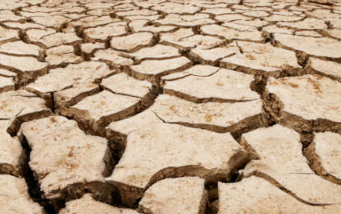 Cause e conseguenze dell’emergenza siccità