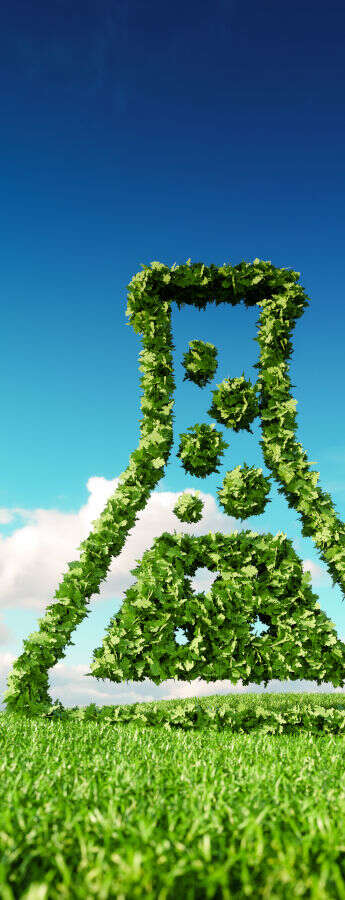 Biocarburanti: sono davvero un’alternativa green?