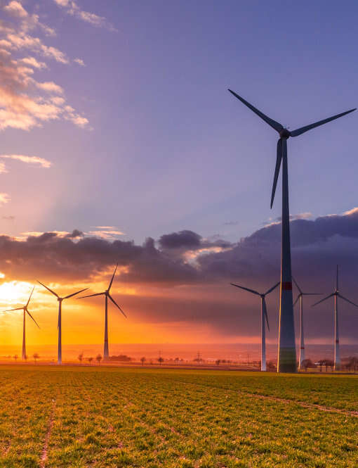 Energia eolica: vantaggi e svantaggi