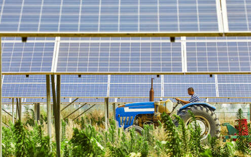 Cos’è l’agro-fotovoltaico e quali sono i suoi vantaggi