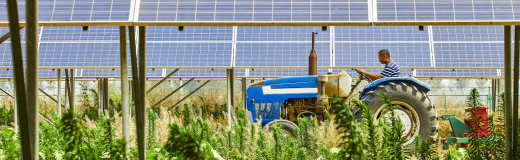 Cos’è l’agro-fotovoltaico e quali sono i suoi vantaggi