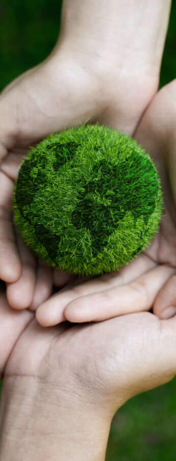 Sostenibilità ambientale: definizione ed esempi