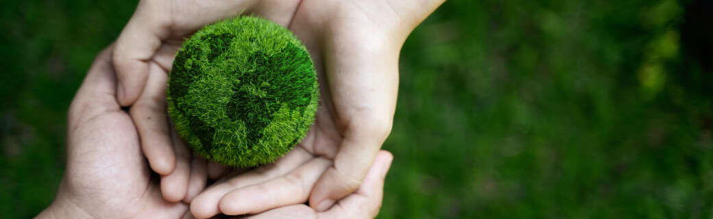 Sostenibilità ambientale: definizione ed esempi