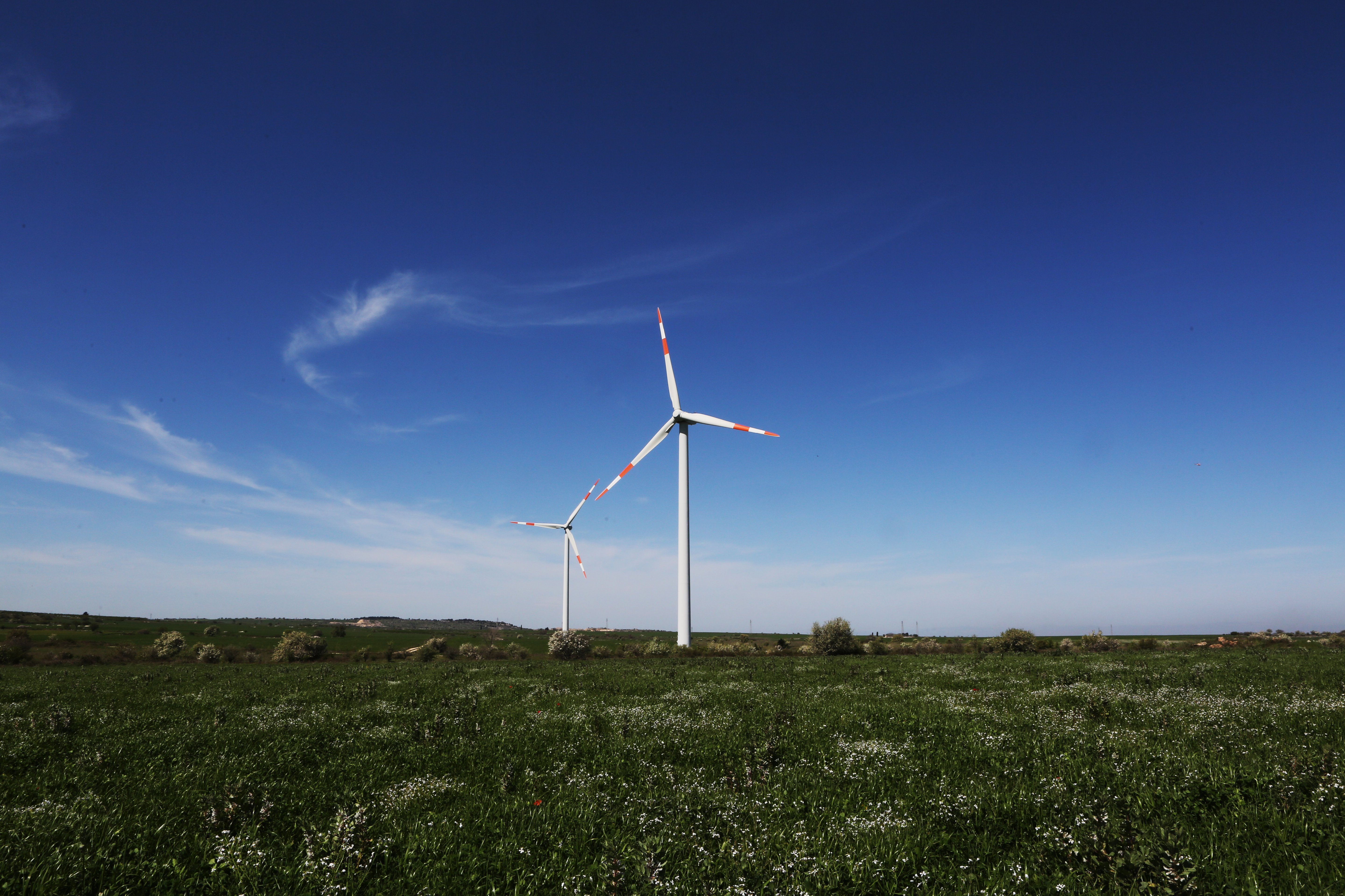 Minervino Murge (BA)