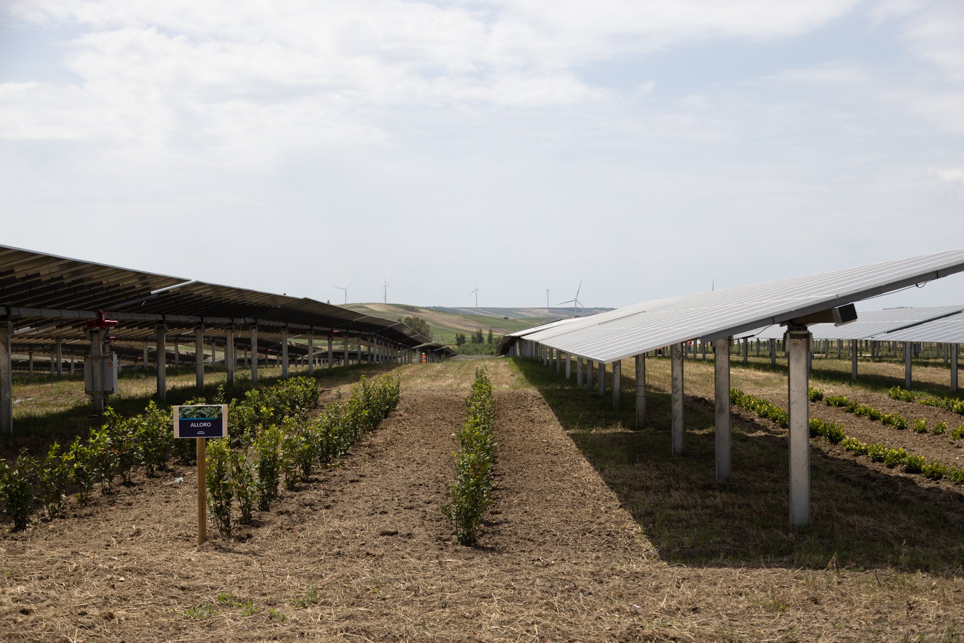 "Il Futuro di tutti noi”: viaggio in Sicilia alla scoperta dell’energia del sole e del vento