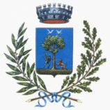 Antonella Ivone