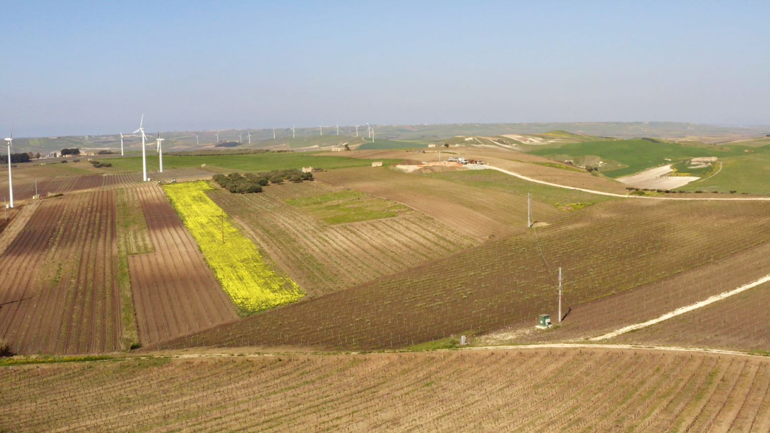 Immagine di Impianto Eolico 2 - Salemi