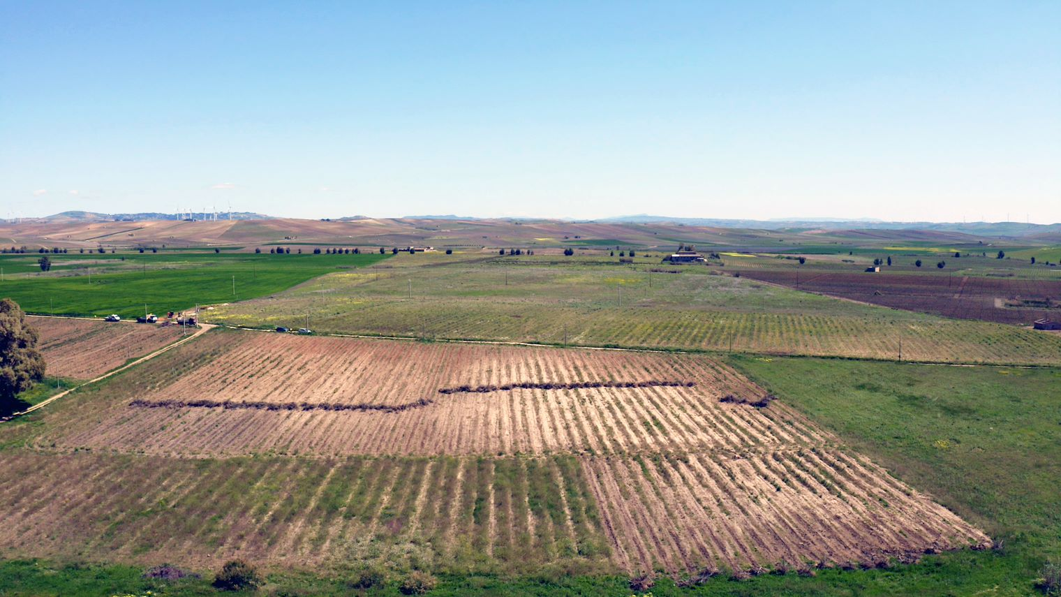 Immagine di Progetto Agro-fotovoltaico - Mazara del Vallo
