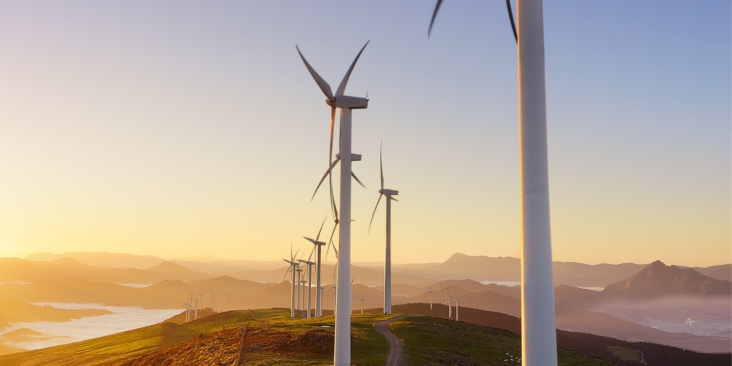 Libera l'energia, segui il vento