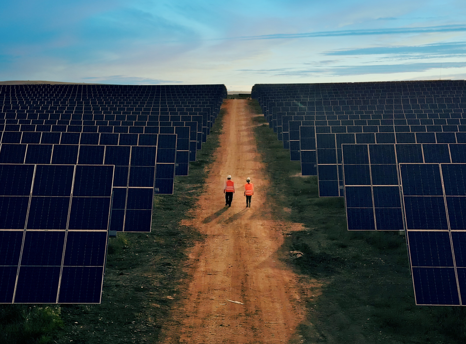 Amazon: energia da agrivoltaico con un corporate PPA
