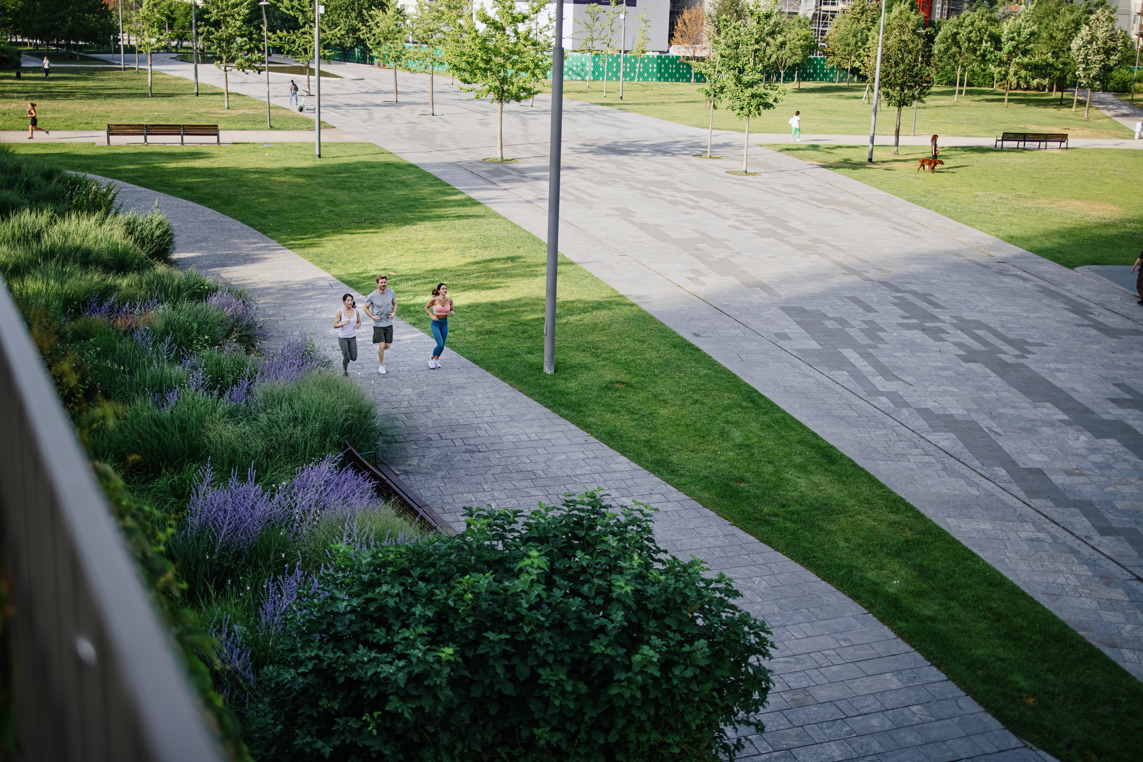 Immagine di Sostenibilità