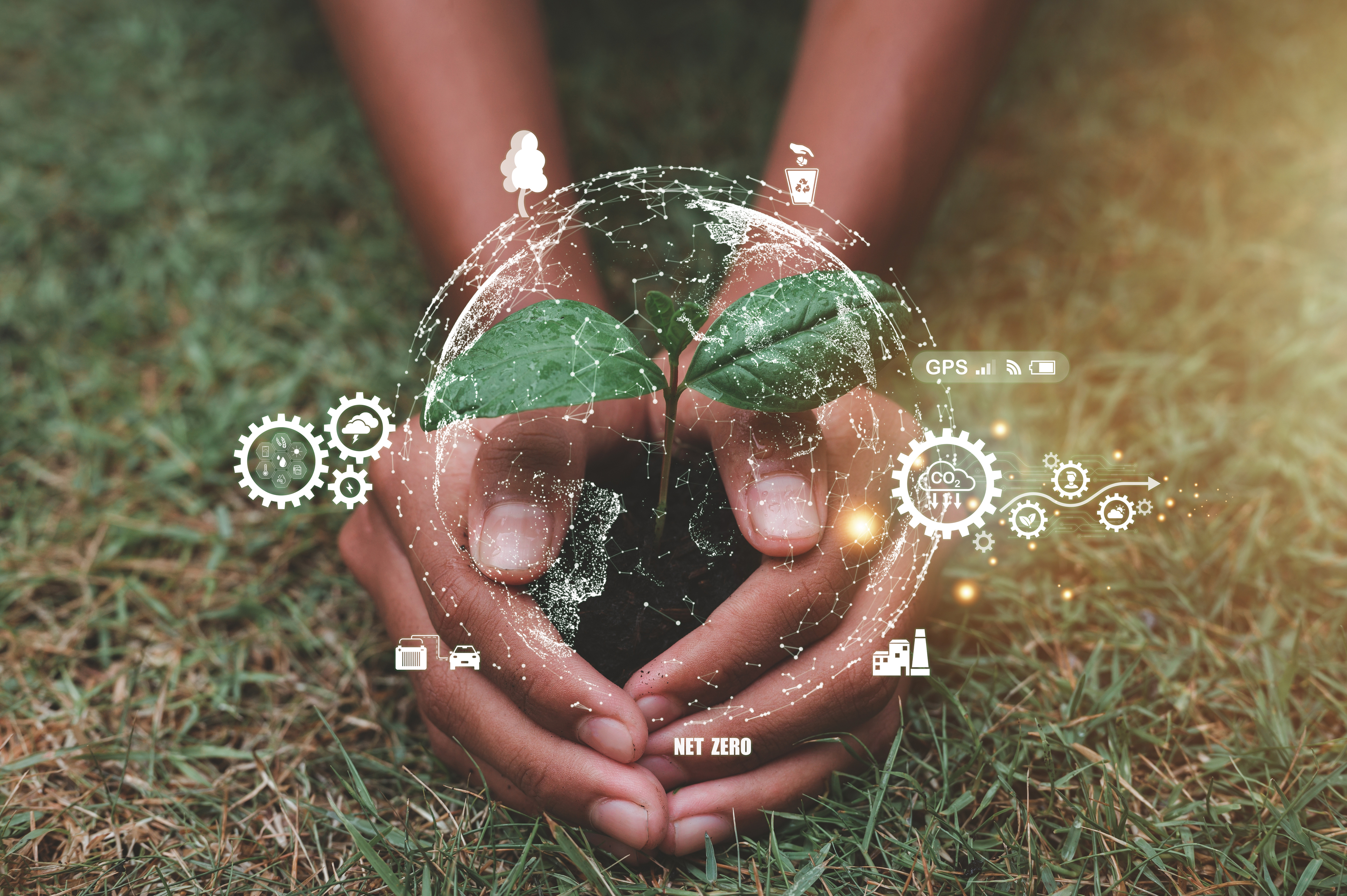 Immagine di Digitalizzazione dei servizi