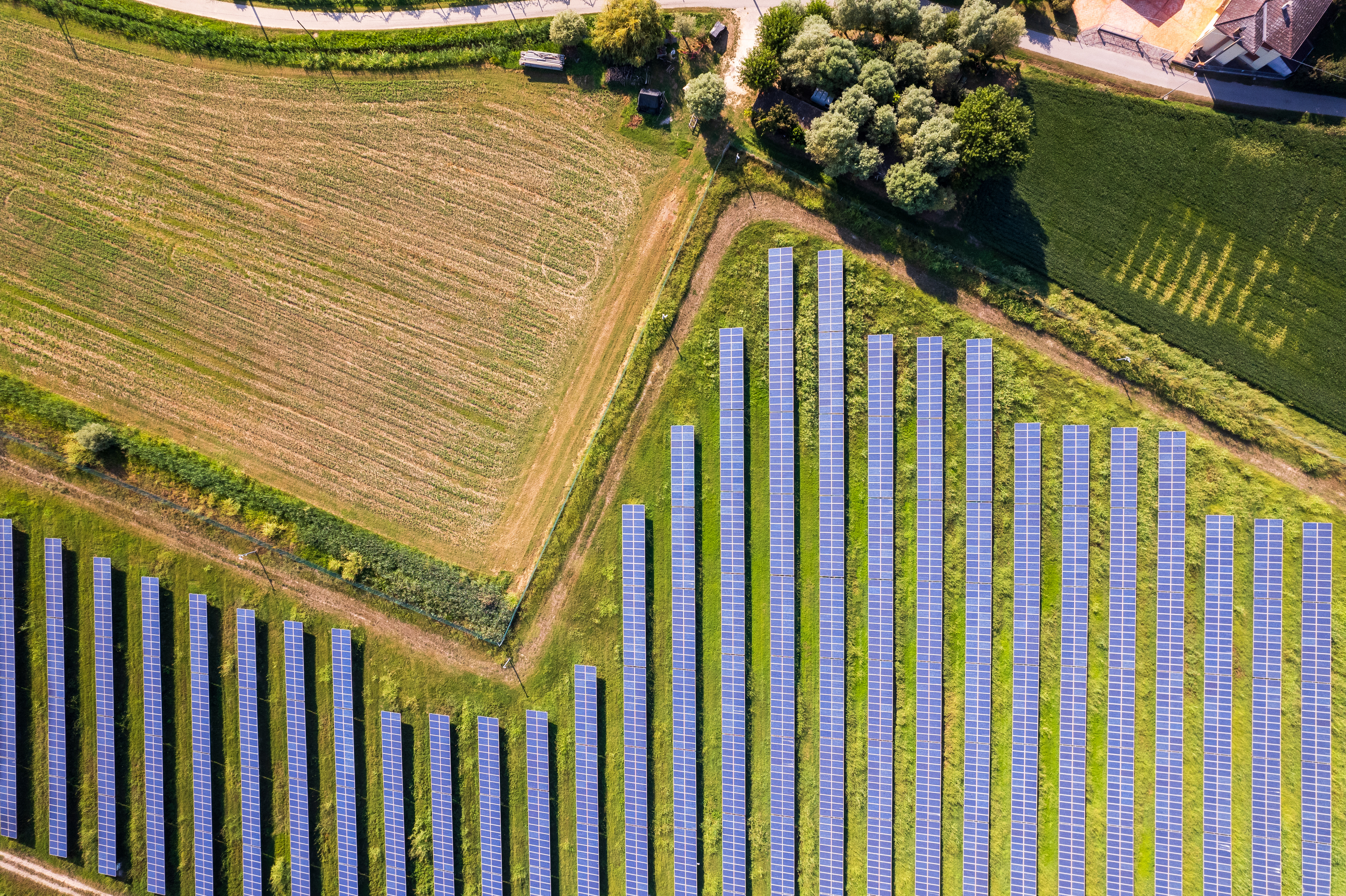 Immagine di Sostenibilità
