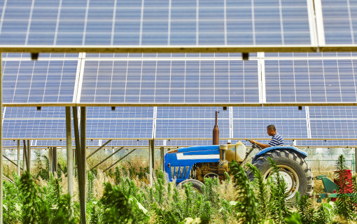 Cos’è l’agro-fotovoltaico e quali sono i suoi vantaggi