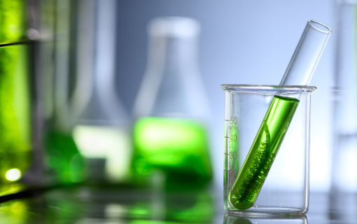 Biometano: cos'è e perché è un’energia verde