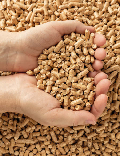 Sai come scegliere il pellet? Ecco caratteristiche e certificazioni da conoscere!