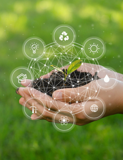 Cos’è la Green Economy? Scopriamo vantaggi ed esempi