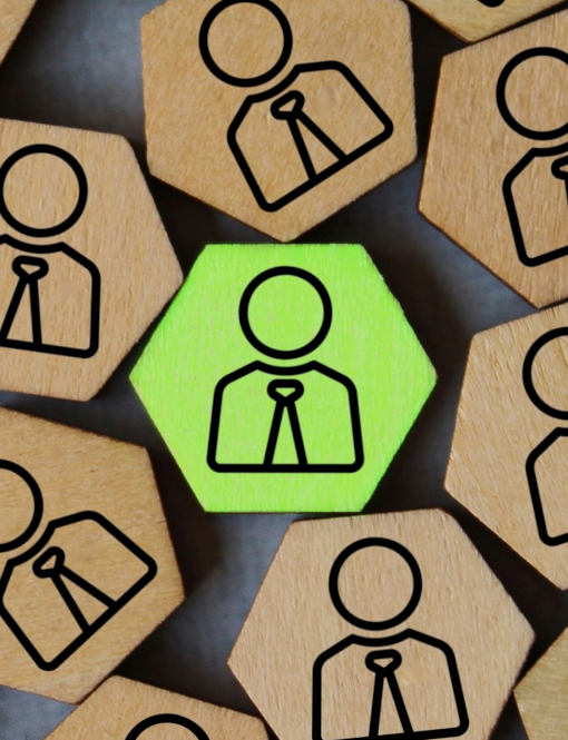 Green jobs: cosa sono e quali sono i più richiesti