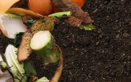 Qual è la differenza tra riciclabile, biodegradabile e compostabile?