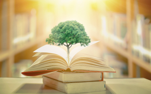 Tutto ciò che devi sapere sull’educazione ambientale