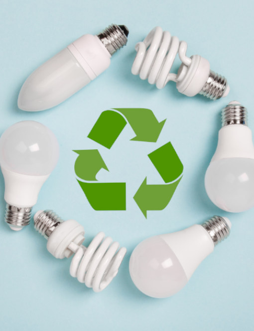 Smaltimento lampadine: ecco dove buttare le lampadine usate