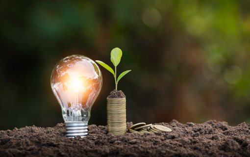 Perché conviene scegliere un fornitore di energia green?