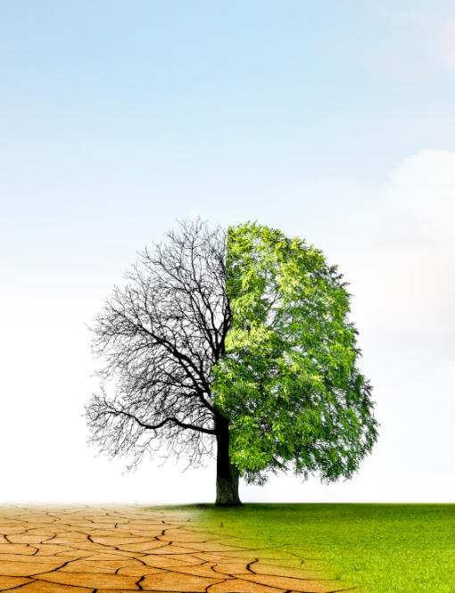 Riscaldamento globale: cause, conseguenze e possibili azioni virtuose