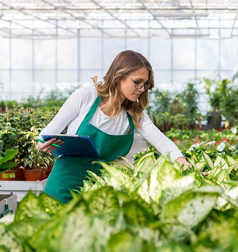 La nostra energia è VERDE