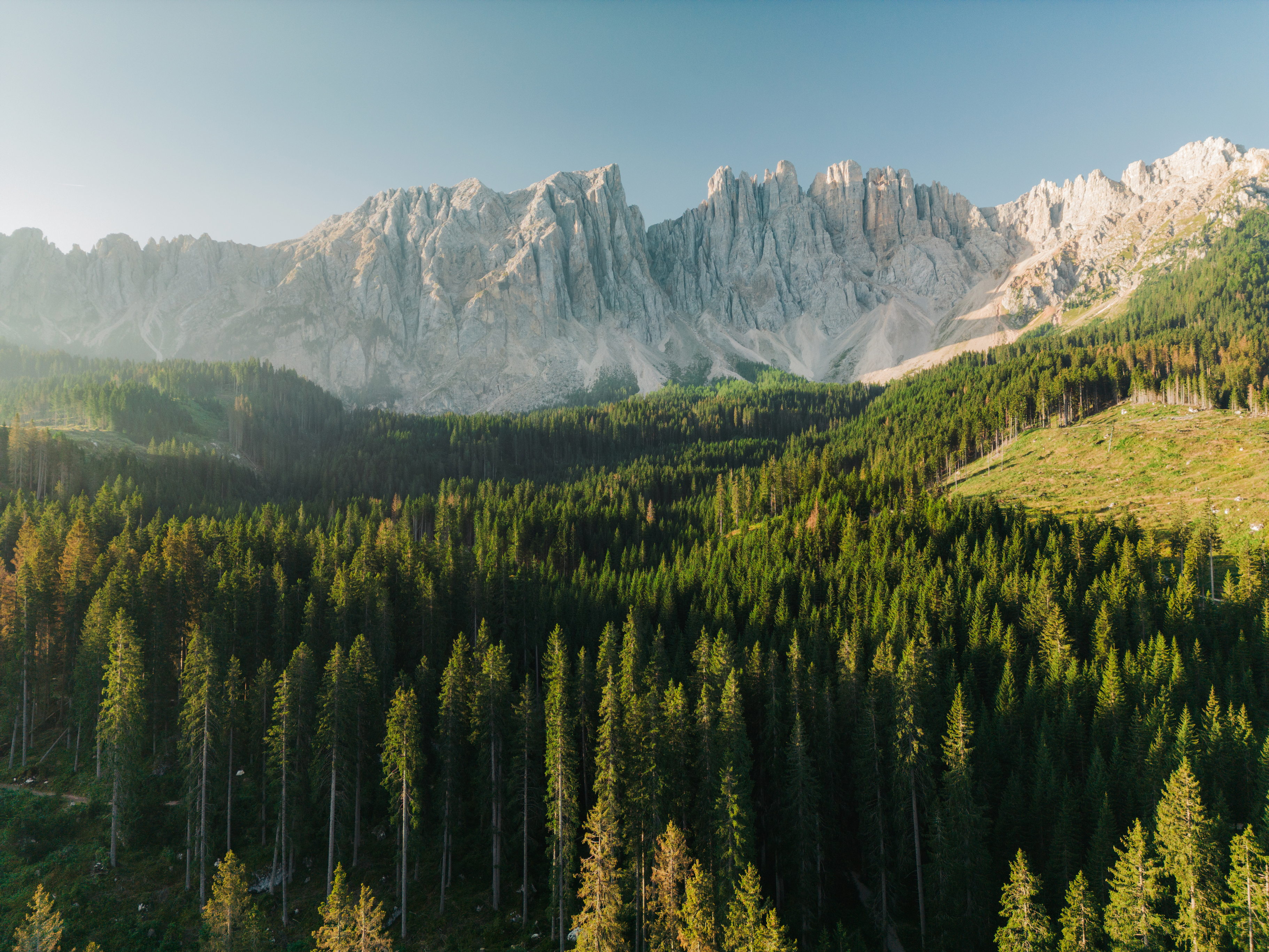 Immagine di Riduzione delle emissioni