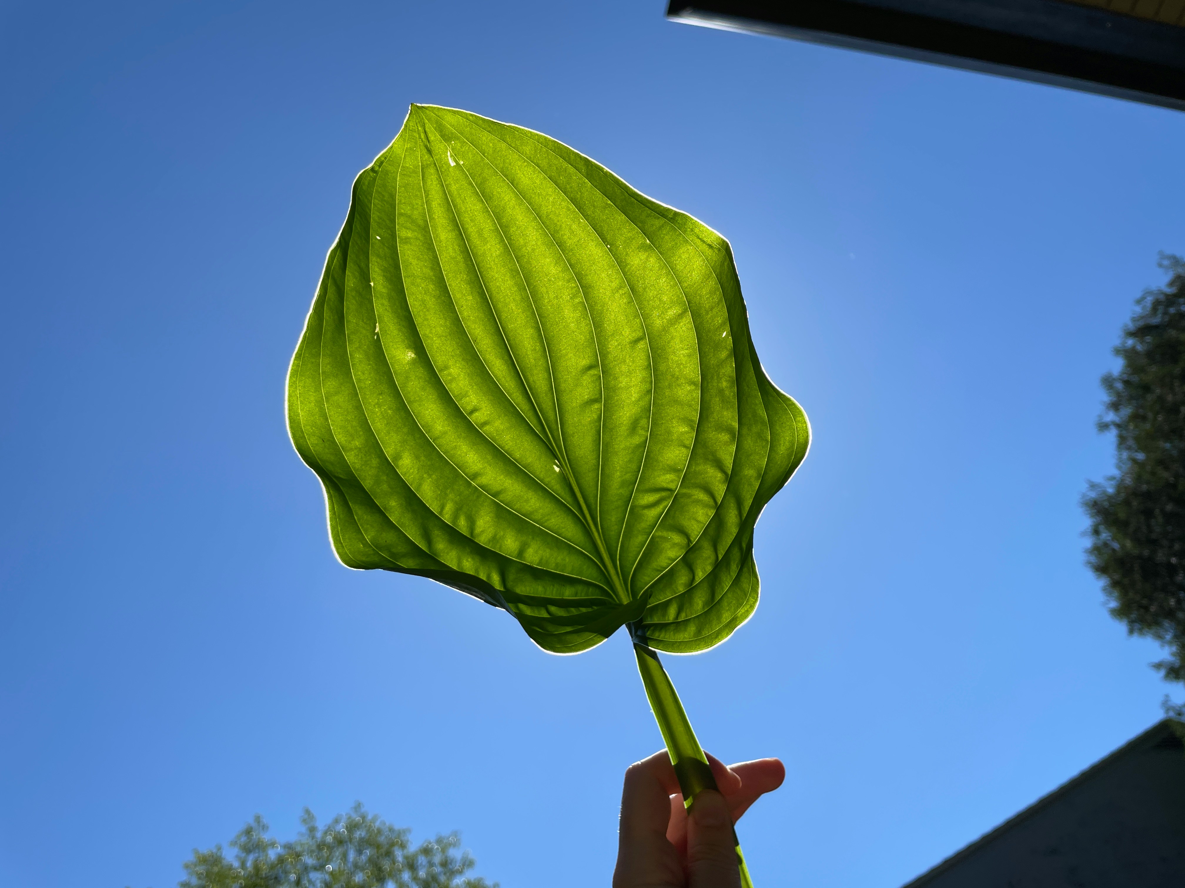 Immagine di Risparmio Energetico